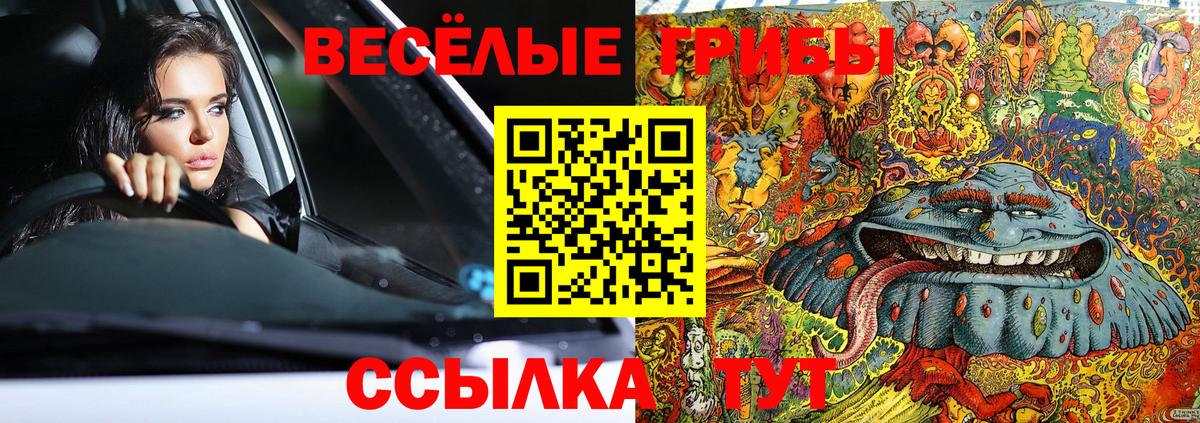 Псилоцибиновые грибы GOLDEN TEACHER Каменка