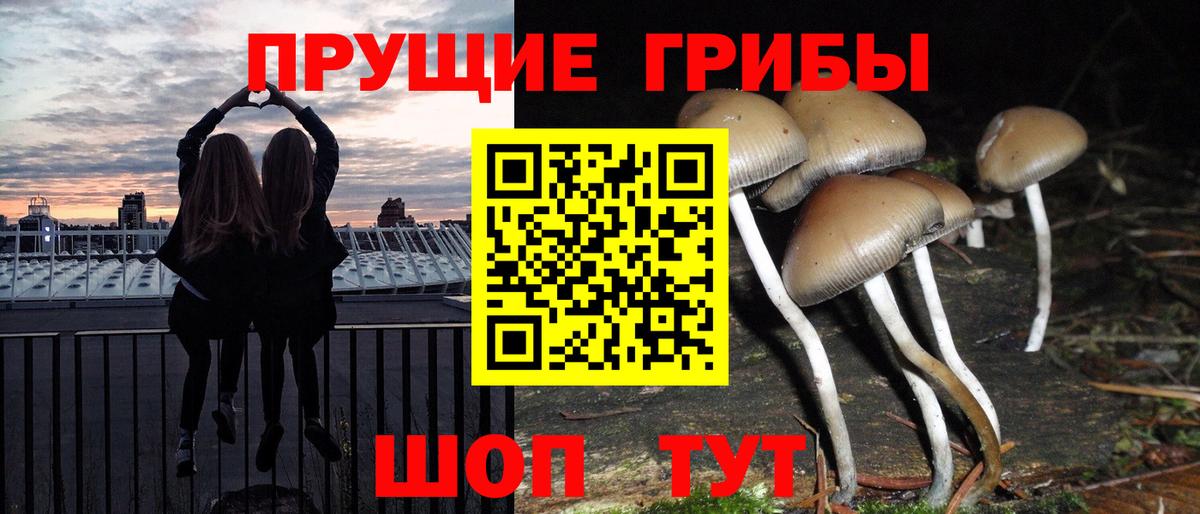 Галлюциногенные грибы MAGIC MUSHROOMS  Галлюциногенные грибы мицелий  дарнет шоп  Каменка  Вход с VPN 